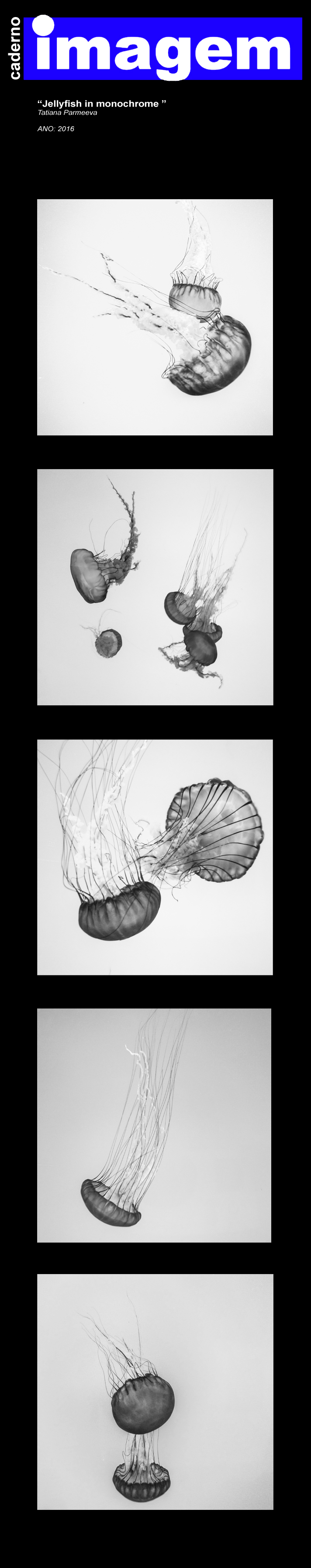 Caderno Imagem, Artista Cristina Pape
