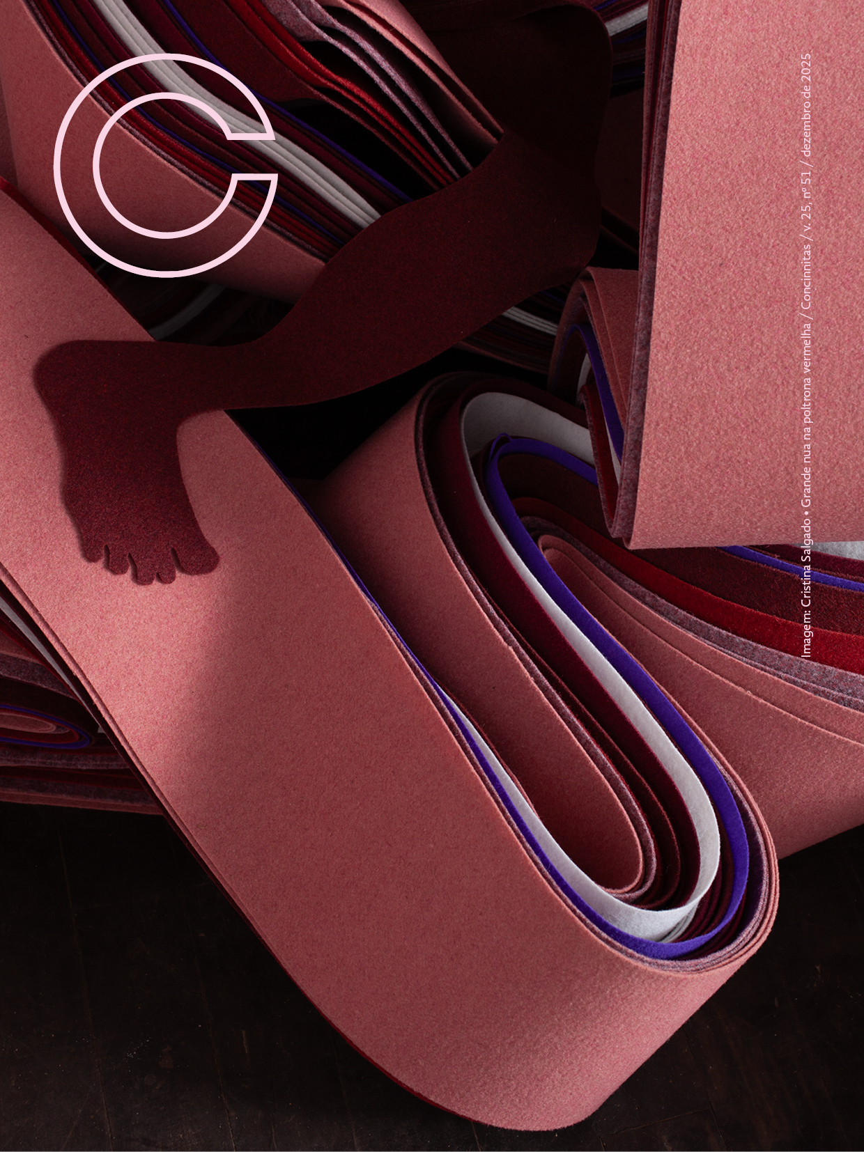 					Visualizar v. 27 n. 51 (2025): Mulheres
				